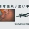 記事『自衛隊機乗り逃げ事件』イメージ画像