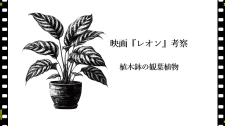 記事「映画『レオン』考察：植木鉢の観葉植物」のイメージ画像