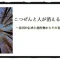 記事『こつぜんと人が消える神隠し～各国の伝承と創作物からその姿を探る～』アイキャッチ画像