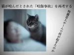 記事猫が咬んだとされた咬傷事故を再考する 特養老人ホームで何が起きたのかアイキャッチ画像