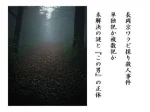 記事長岡京ワラビ採り殺人事件単独犯か複数犯か未解決の謎とこの男の正体アイキャッチ画像