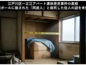 江戸川区一之江アパート遺体発見事件の真相段ボールに隠された同居人と病死した住人の謎を考察