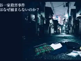記事「世田谷一家殺害事件なぜ捕まらないのか」のイメージ画像。犯人の遺留品（マフラー、ラグランシャツ）などが、城南地域の路上に無造作に置かれ、遠方に渋谷などをイメージする都市が見える。