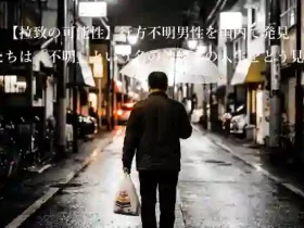 【拉致の可能性】行方不明男性を国内で発見。私たちは「不明」という名の地続きの人生をどう見るか。夕暮れの街角、透明化された隣人の生存のメタファー（後ろ姿）か