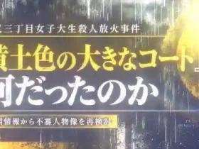 柴又三丁目女子大生殺人放火事件｜黄土色の大きなコートは何だったのか